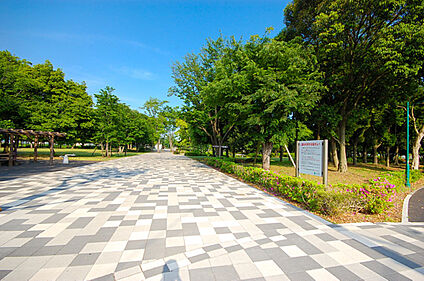 郷土の森公園 1300ｍ