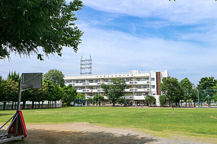府中市立白糸台小学校 約800m