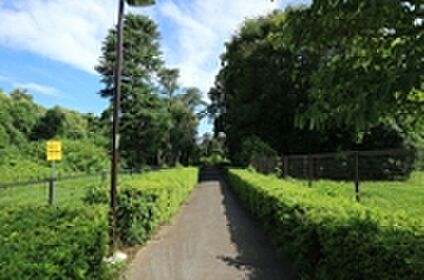 殿ヶ谷緑道 約490ｍ