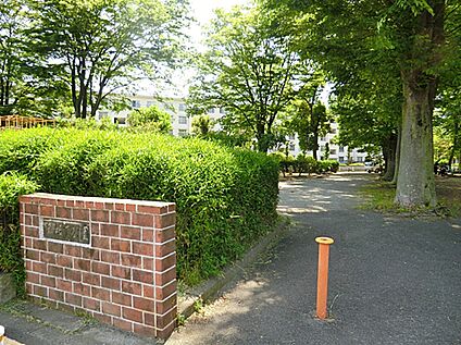 新坂下公園 480ｍ