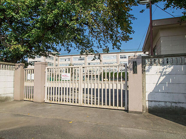 杉並区立西宮中学校（約600m）