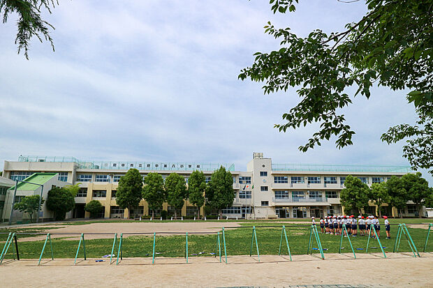 府中市立府中第八小学校