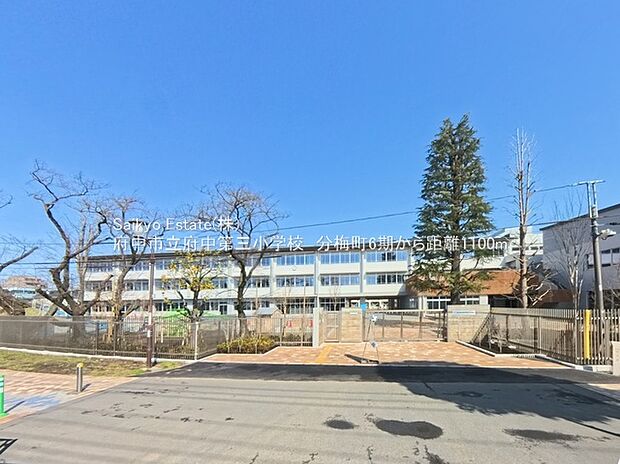府中市立市立府中第三小学校（約1,100m）
