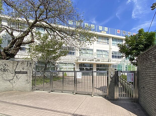 中野区立緑野中学校