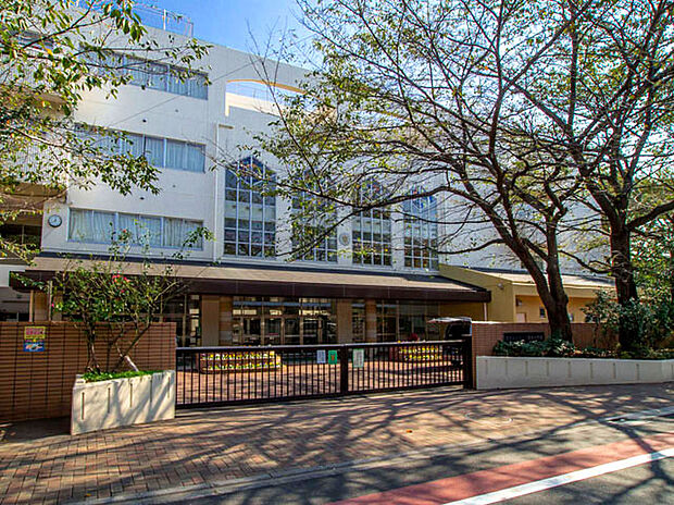 杉並区立宮前中学校（約350m）