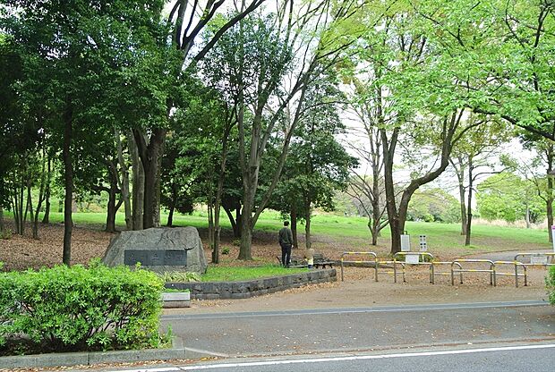 都立光が丘公園