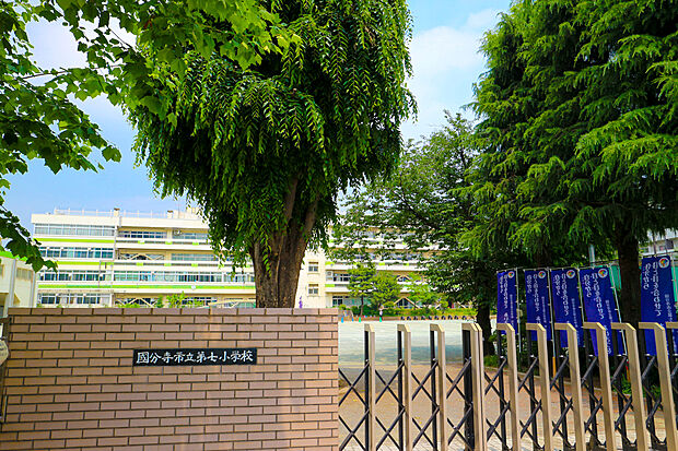 国分寺市立第七小学校（約790m）