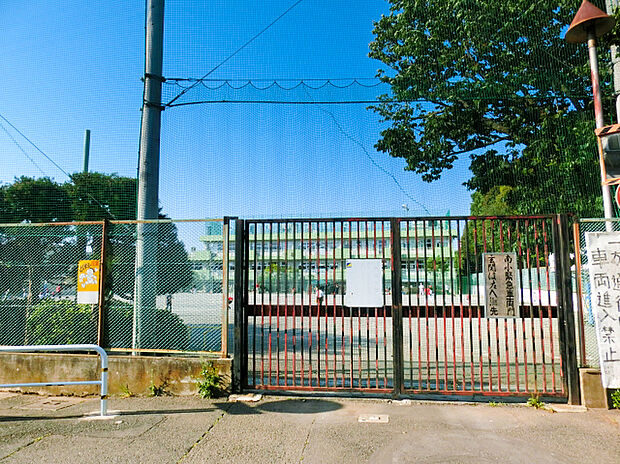 小金井市立南小学校（約1,200m）