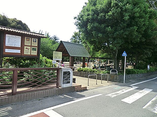 妙正寺公園