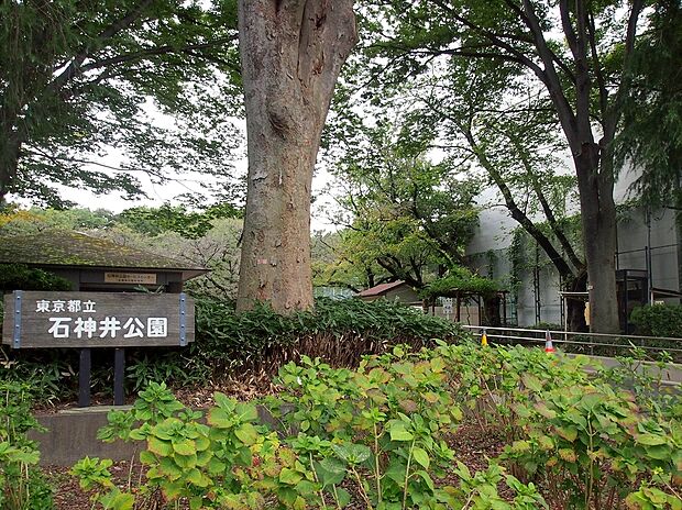 都立石神井公園