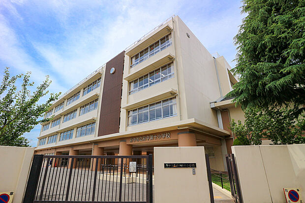 府中市立府中第十小学校