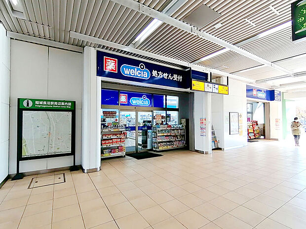 ウエルシア稲城長沼駅店(約579m)