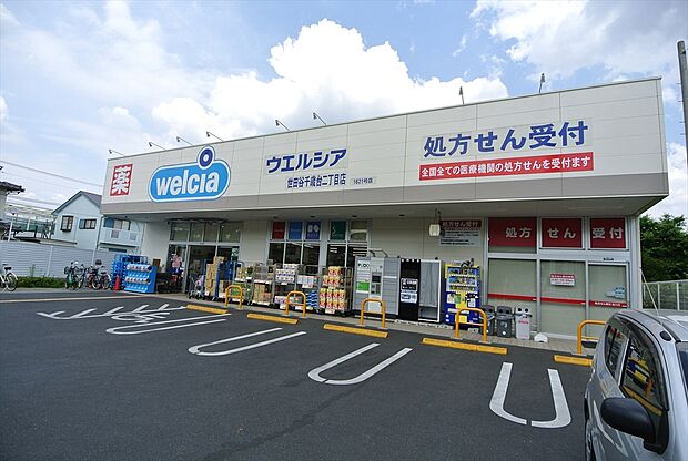 ウエルシア世田谷千歳台二丁目店(約920m)