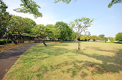 府中市郷土の森公園 約430ｍ(徒歩約6分)