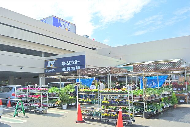 スーパーバリューロピア練馬大泉店