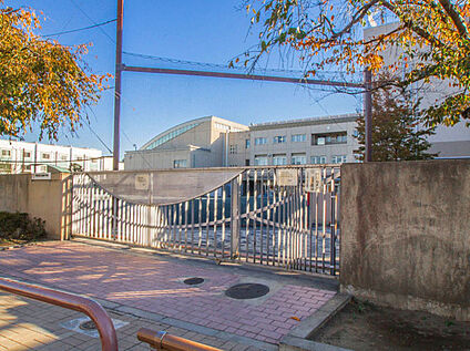 世田谷区立砧南小学校 900ｍ(徒歩約12分)