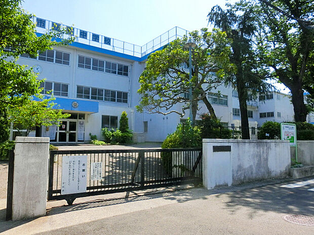 小金井市立東中学校(約290m)