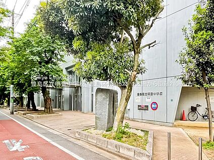 豊島区立明豊中学校 210ｍ(徒歩約3分)