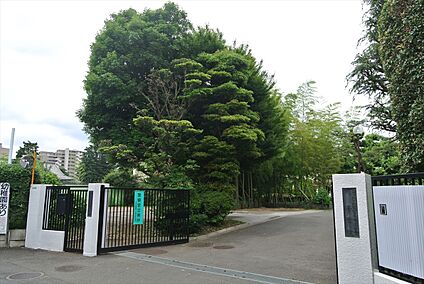 関町白百合幼稚園 450ｍ(徒歩約6分)