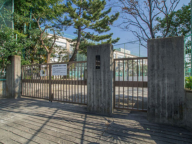 杉並区立富士見丘小学校(約1,290m)