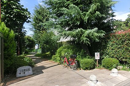 下石原公園 約410ｍ(徒歩約6分)