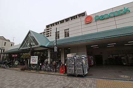 ピーコックストア花小金井店 900ｍ(徒歩約12分)
