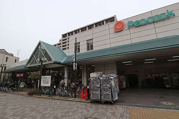 ピーコックストア花小金井店(約900m)