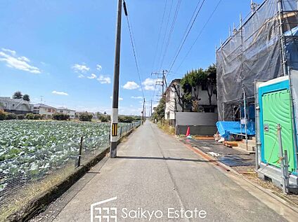 前面道路を含む現地写真