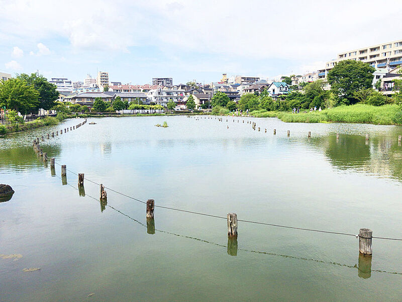 小池公園　-　徒歩10分（約750ｍ）