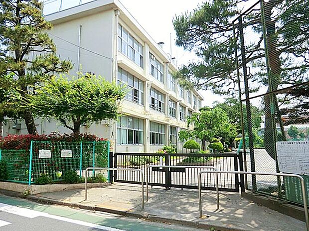 練馬区立石神井小学校（約10m）