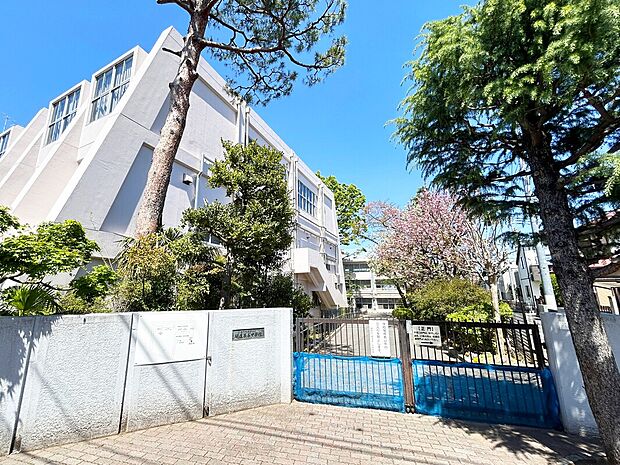 練馬区立開進第三中学校(約700m)