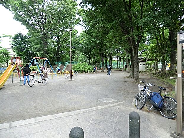 世田谷区立喜多見公園（約600m）