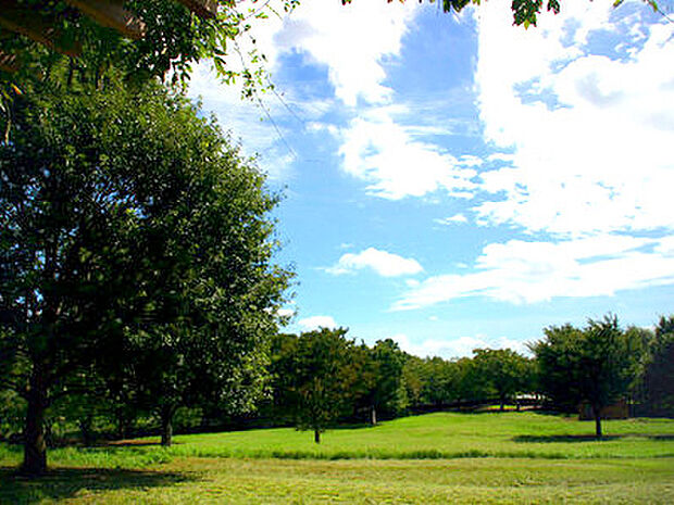 都立祖師谷公園(約600m)