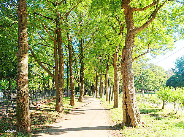 城北中央公園（約900m）