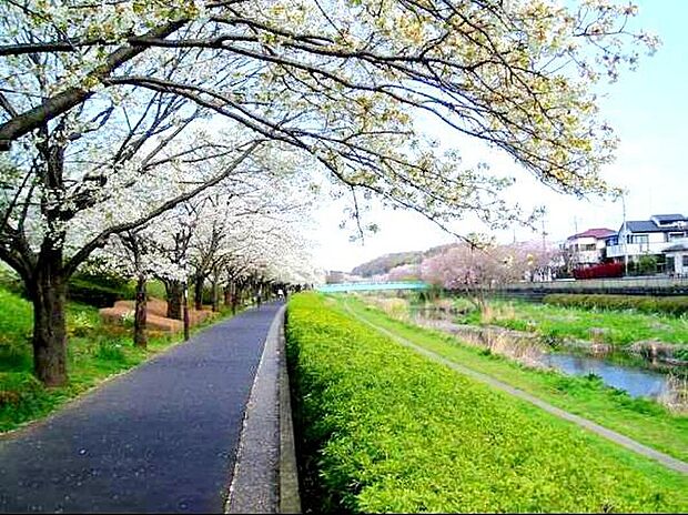 野川公園（約1,000m）