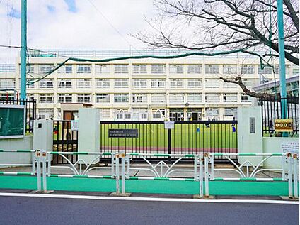 渋谷区立中幡小学校 350m(徒歩5分)