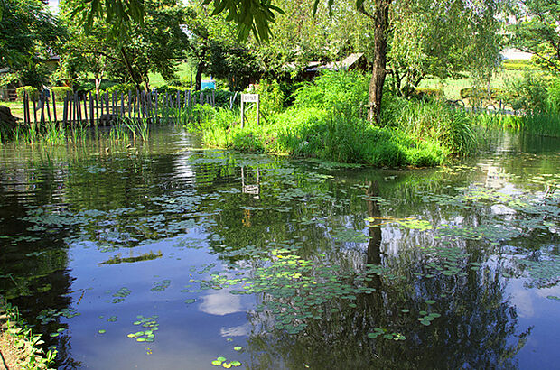 新川丸池公園(約600m)