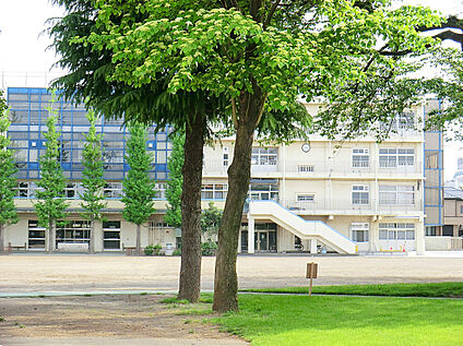 武蔵野市立第三中学校 300ｍ(徒歩4分)