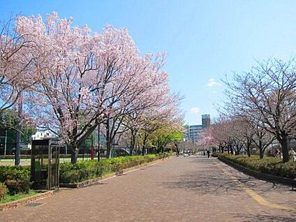 西東京いこいの森公園 1200ｍ(徒歩15分)