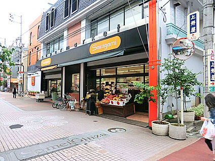 サカガミ駒込店 800ｍ(徒歩10分)