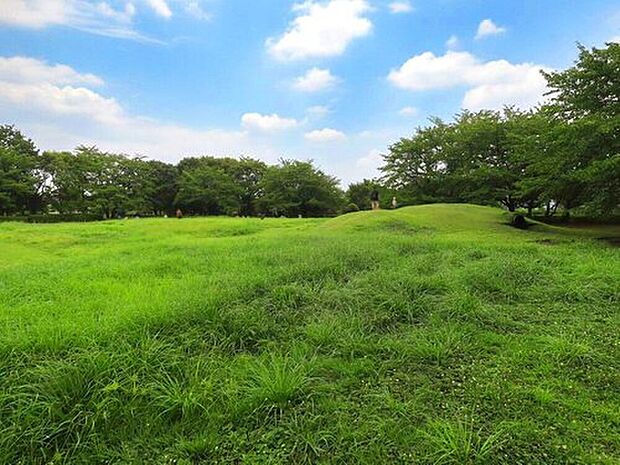 世田谷区立きたみふれあい広場(約1,200m)