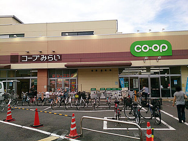 コープ柴崎店（約1,300m）