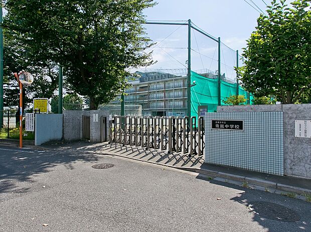 西東京市立青嵐中学校（約580m）
