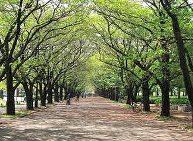 府中公園（約350m）