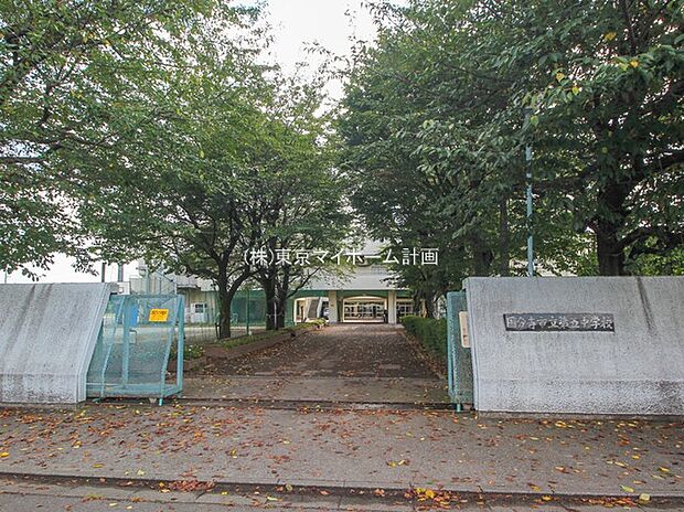 国分寺市立第五中学校（約800m）