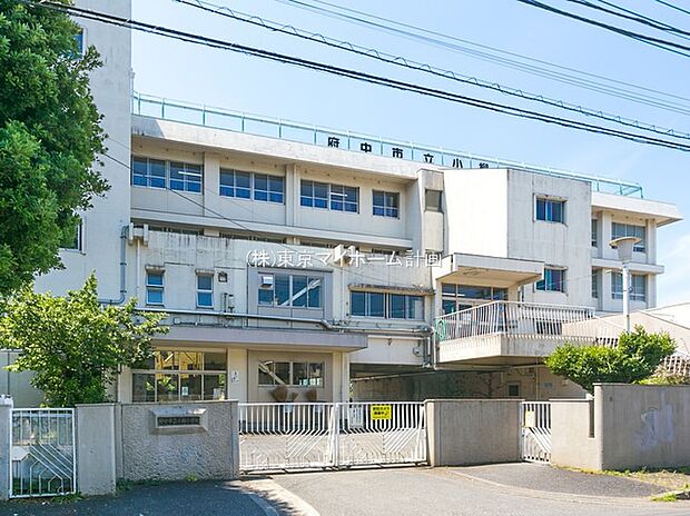 府中市立小柳小学校（約500m）
