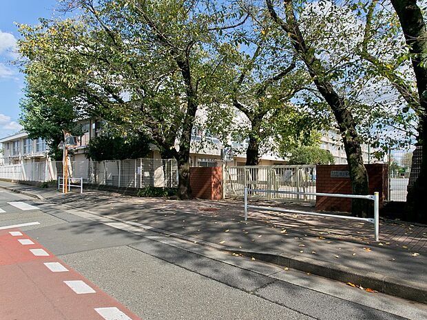 国立市立第七小学校（約400m）