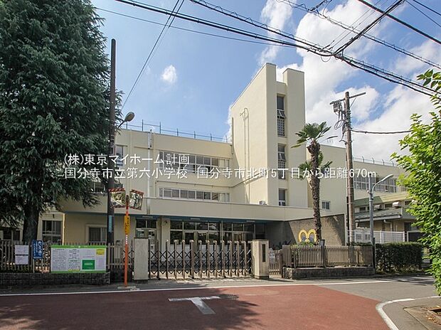 国分寺市立第六小学校(約670m)