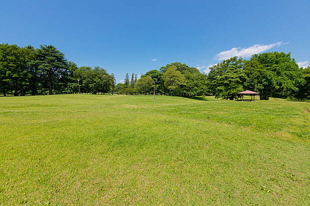 野川公園（約720m）