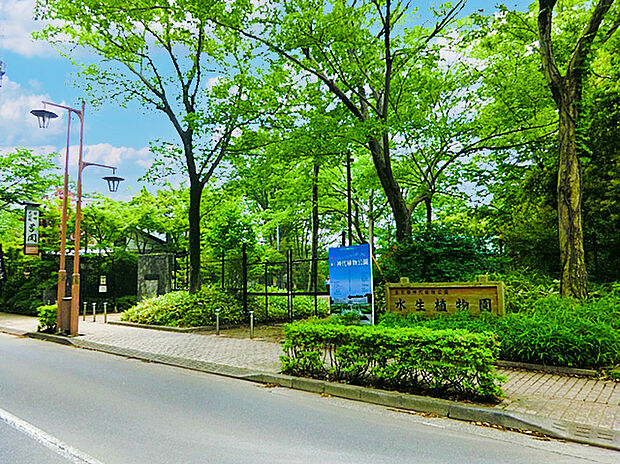 神代植物公園(約2,600m)